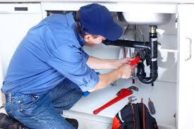 Best Plumbing System Maintenance  in Porter, IN